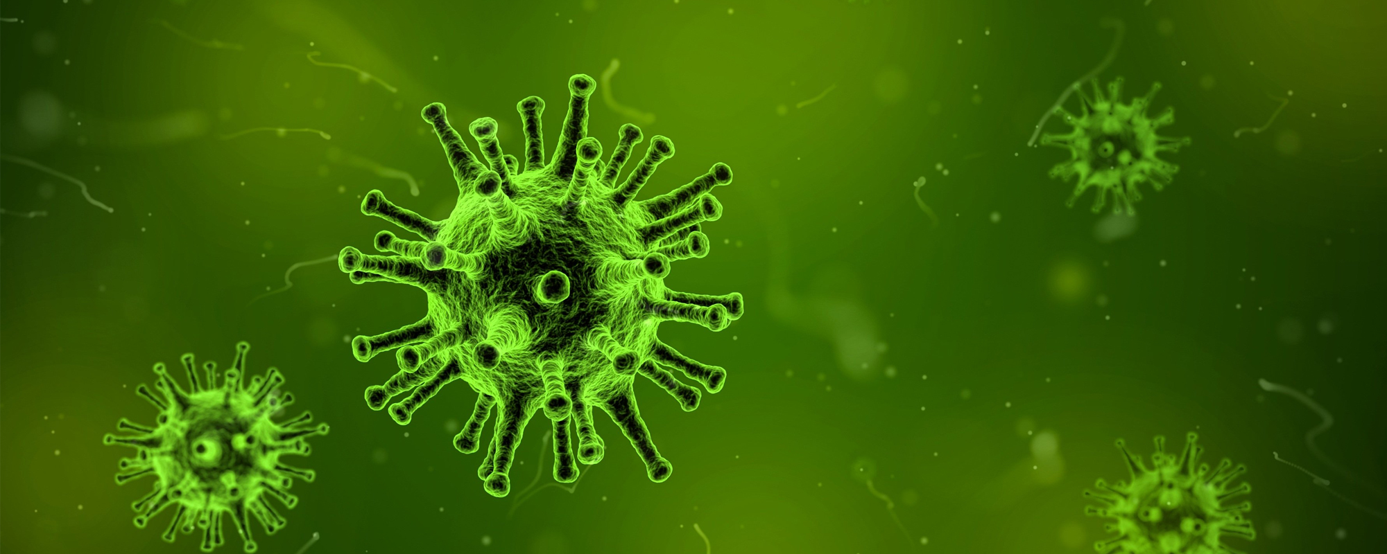 Protecting your home from Coronavirus